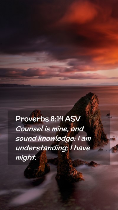 Picture 02 - Proverbs 8:14 ASV Mobile Phone Wallpaper - Counsel is mine, and sound knowledge: I am - Mobile Bible Verse Wallpaper