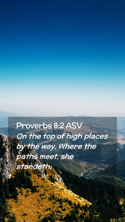 Picture 02 - Proverbs 8:2 ASV Mobile Phone Wallpaper - On the top of high places by the way, Where the - Mobile Bible Verse Wallpaper