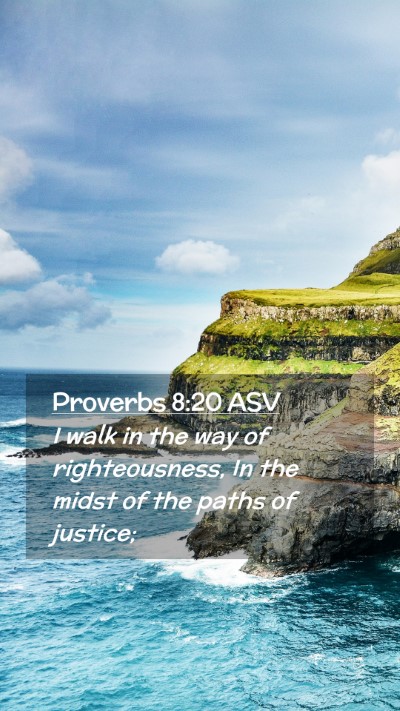 Picture 02 - Proverbs 8:20 ASV Mobile Phone Wallpaper - I walk in the way of righteousness, In the midst - Mobile Bible Verse Wallpaper