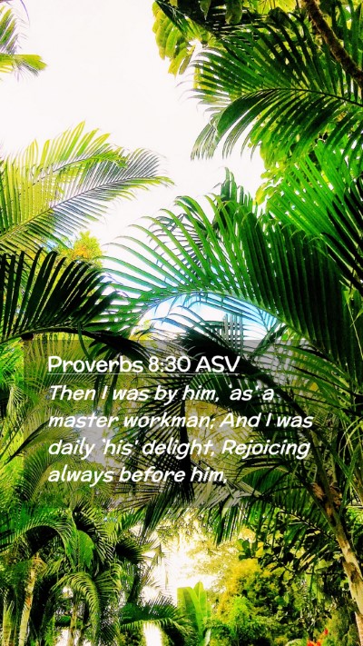 Picture 02 - Proverbs 8:30 ASV Mobile Phone Wallpaper - Then I was by him, `as' a master workman; And I - Mobile Bible Verse Wallpaper