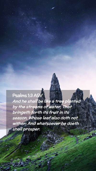 Picture 02 - Psalms 1:3 ASV Mobile Phone Wallpaper - And he shall be like a tree planted by the - Mobile Bible Verse Wallpaper