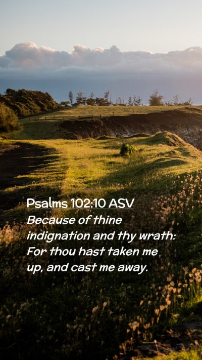 Picture 02 - Psalms 102:10 ASV Mobile Phone Wallpaper - Because of thine indignation and thy wrath: For - Mobile Bible Verse Wallpaper