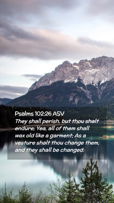 Picture 02 - Psalms 102:26 ASV Mobile Phone Wallpaper - They shall perish, but thou shalt endure; Yea, - Mobile Bible Verse Wallpaper