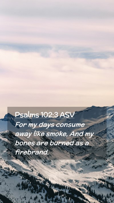 Picture 02 - Psalms 102:3 ASV Mobile Phone Wallpaper - For my days consume away like smoke, And my bones - Mobile Bible Verse Wallpaper