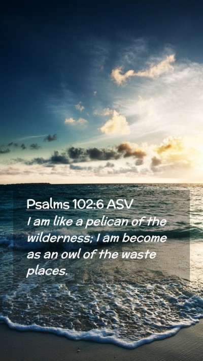 Picture 02 - Psalms 102:6 ASV Mobile Phone Wallpaper - I am like a pelican of the wilderness; I am - Mobile Bible Verse Wallpaper