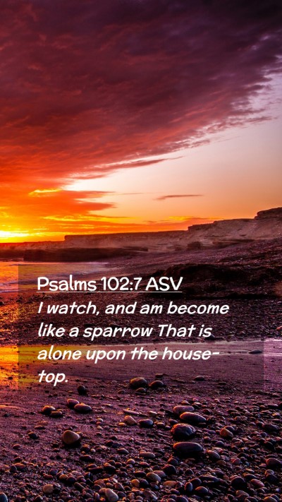Picture 02 - Psalms 102:7 ASV Mobile Phone Wallpaper - I watch, and am become like a sparrow That is - Mobile Bible Verse Wallpaper
