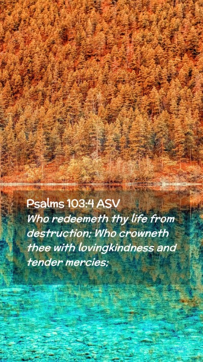 Picture 02 - Psalms 103:4 ASV Mobile Phone Wallpaper - Who redeemeth thy life from destruction; Who - Mobile Bible Verse Wallpaper