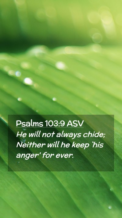 Picture 02 - Psalms 103:9 ASV Mobile Phone Wallpaper - He will not always chide; Neither will he keep - Mobile Bible Verse Wallpaper