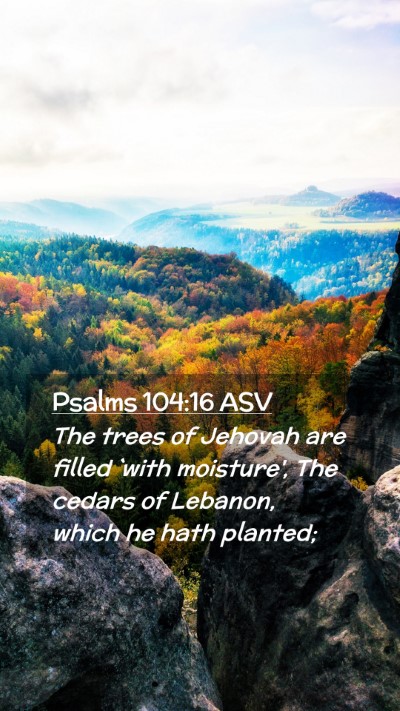 Picture 02 - Psalms 104:16 ASV Mobile Phone Wallpaper - The trees of Jehovah are filled `with moisture', - Mobile Bible Verse Wallpaper