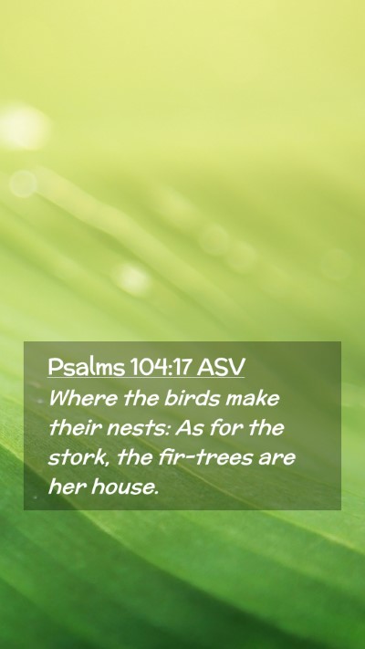 Picture 02 - Psalms 104:17 ASV Mobile Phone Wallpaper - Where the birds make their nests: As for the - Mobile Bible Verse Wallpaper