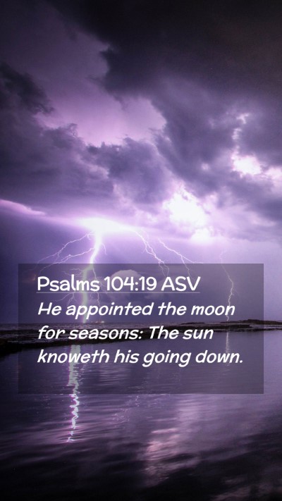 Picture 02 - Psalms 104:19 ASV Mobile Phone Wallpaper - He appointed the moon for seasons: The sun - Mobile Bible Verse Wallpaper
