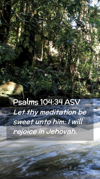 Picture 02 - Psalms 104:34 ASV Mobile Phone Wallpaper - Let thy meditation be sweet unto him: I will - Mobile Bible Verse Wallpaper
