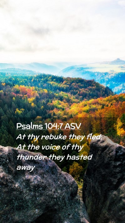 Picture 02 - Psalms 104:7 ASV Mobile Phone Wallpaper - At thy rebuke they fled; At the voice of thy - Mobile Bible Verse Wallpaper