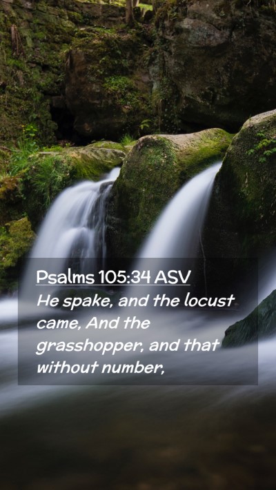 Picture 02 - Psalms 105:34 ASV Mobile Phone Wallpaper - He spake, and the locust came, And the - Mobile Bible Verse Wallpaper