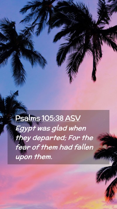 Picture 02 - Psalms 105:38 ASV Mobile Phone Wallpaper - Egypt was glad when they departed; For the fear - Mobile Bible Verse Wallpaper