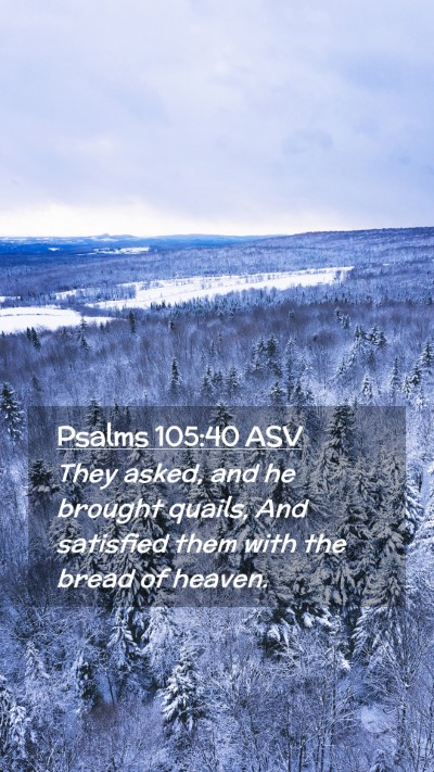 Picture 02 - Psalms 105:40 ASV Mobile Phone Wallpaper - They asked, and he brought quails, And satisfied - Mobile Bible Verse Wallpaper
