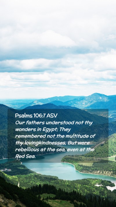 Picture 02 - Psalms 106:7 ASV Mobile Phone Wallpaper - Our fathers understood not thy wonders in Egypt; - Mobile Bible Verse Wallpaper
