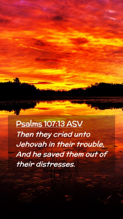 Picture 02 - Psalms 107:13 ASV Mobile Phone Wallpaper - Then they cried unto Jehovah in their trouble, - Mobile Bible Verse Wallpaper