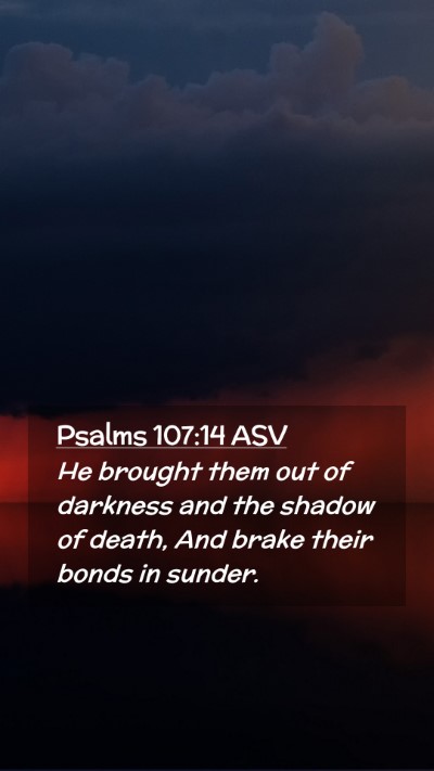 Picture 02 - Psalms 107:14 ASV Mobile Phone Wallpaper - He brought them out of darkness and the shadow of - Mobile Bible Verse Wallpaper