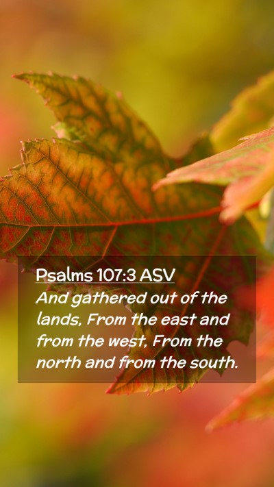Picture 02 - Psalms 107:3 ASV Mobile Phone Wallpaper - And gathered out of the lands, From the east and - Mobile Bible Verse Wallpaper