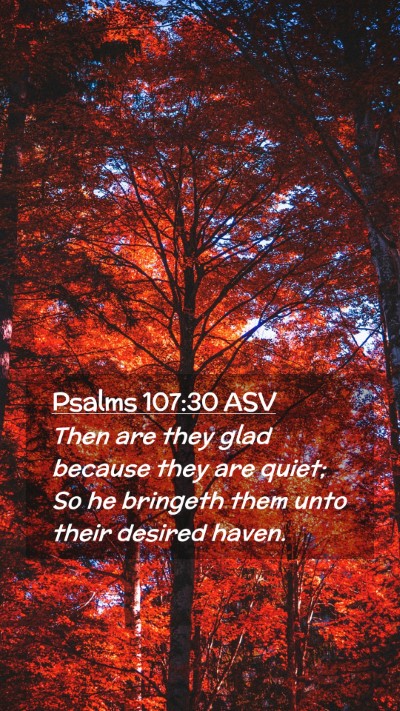 Picture 02 - Psalms 107:30 ASV Mobile Phone Wallpaper - Then are they glad because they are quiet; So he - Mobile Bible Verse Wallpaper