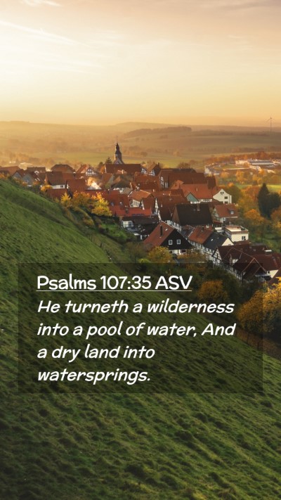 Picture 02 - Psalms 107:35 ASV Mobile Phone Wallpaper - He turneth a wilderness into a pool of water, And - Mobile Bible Verse Wallpaper