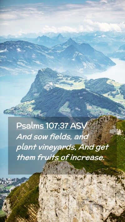 Picture 02 - Psalms 107:37 ASV Mobile Phone Wallpaper - And sow fields, and plant vineyards, And get them - Mobile Bible Verse Wallpaper