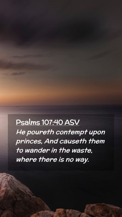 Picture 02 - Psalms 107:40 ASV Mobile Phone Wallpaper - He poureth contempt upon princes, And causeth - Mobile Bible Verse Wallpaper