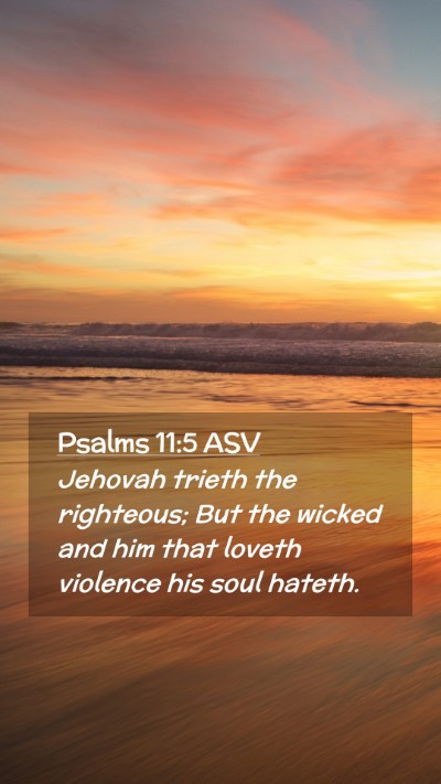 Picture 02 - Psalms 11:5 ASV Mobile Phone Wallpaper - Jehovah trieth the righteous; But the wicked and - Mobile Bible Verse Wallpaper