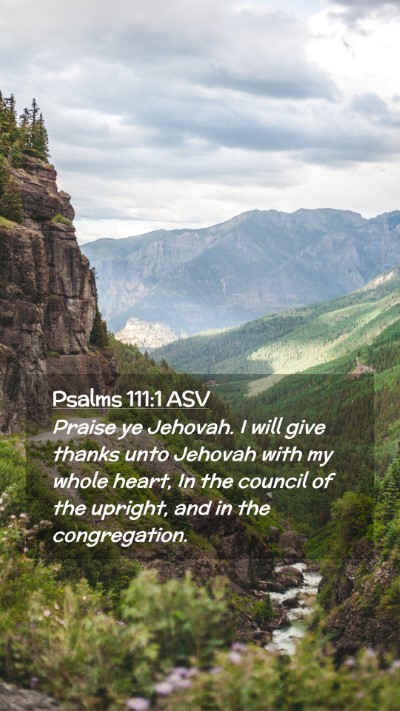 Picture 02 - Psalms 111:1 ASV Mobile Phone Wallpaper - Praise ye Jehovah. I will give thanks unto - Mobile Bible Verse Wallpaper