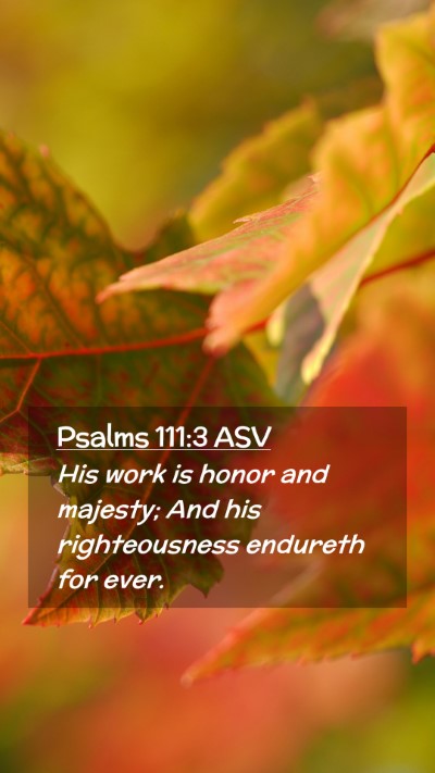 Picture 02 - Psalms 111:3 ASV Mobile Phone Wallpaper - His work is honor and majesty; And his - Mobile Bible Verse Wallpaper