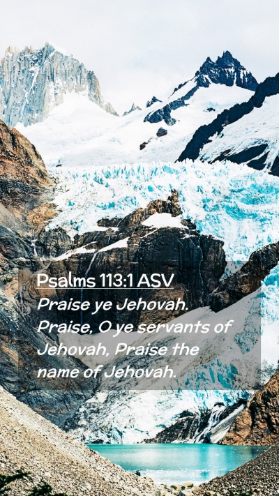 Picture 02 - Psalms 113:1 ASV Mobile Phone Wallpaper - Praise ye Jehovah. Praise, O ye servants of - Mobile Bible Verse Wallpaper