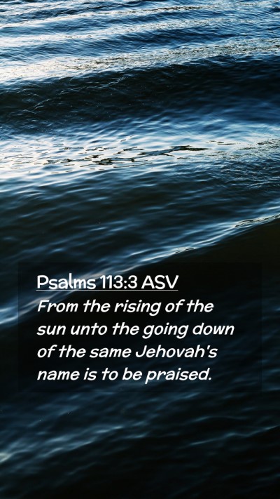 Picture 02 - Psalms 113:3 ASV Mobile Phone Wallpaper - From the rising of the sun unto the going down of - Mobile Bible Verse Wallpaper