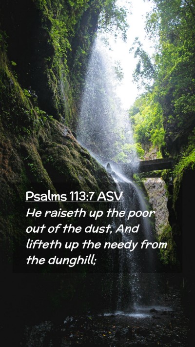 Picture 02 - Psalms 113:7 ASV Mobile Phone Wallpaper - He raiseth up the poor out of the dust, And - Mobile Bible Verse Wallpaper
