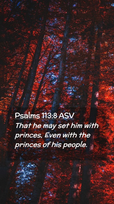Picture 02 - Psalms 113:8 ASV Mobile Phone Wallpaper - That he may set him with princes, Even with the - Mobile Bible Verse Wallpaper