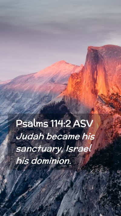 Picture 02 - Psalms 114:2 ASV Mobile Phone Wallpaper - Judah became his sanctuary, Israel his - Mobile Bible Verse Wallpaper