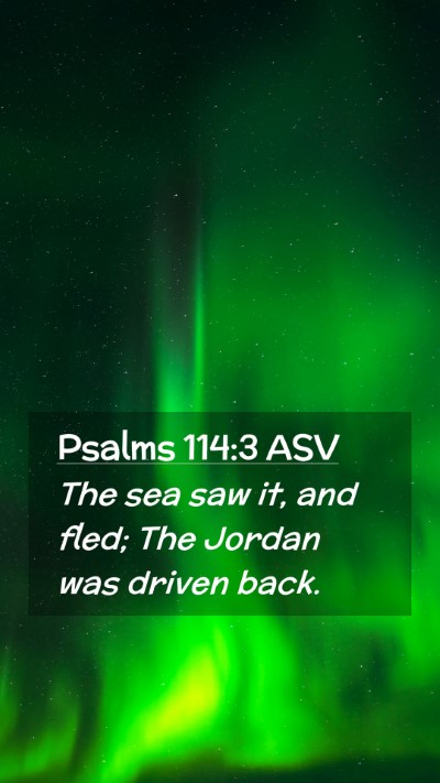 Picture 02 - Psalms 114:3 ASV Mobile Phone Wallpaper - The sea saw it, and fled; The Jordan was driven - Mobile Bible Verse Wallpaper