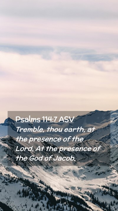 Picture 02 - Psalms 114:7 ASV Mobile Phone Wallpaper - Tremble, thou earth, at the presence of the Lord, - Mobile Bible Verse Wallpaper