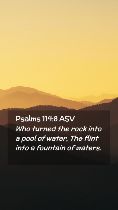 Picture 02 - Psalms 114:8 ASV Mobile Phone Wallpaper - Who turned the rock into a pool of water, The - Mobile Bible Verse Wallpaper