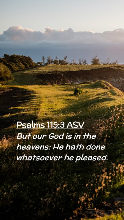 Picture 02 - Psalms 115:3 ASV Mobile Phone Wallpaper - But our God is in the heavens: He hath done - Mobile Bible Verse Wallpaper