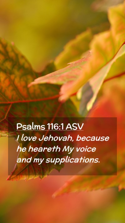 Picture 02 - Psalms 116:1 ASV Mobile Phone Wallpaper - I love Jehovah, because he heareth My voice and - Mobile Bible Verse Wallpaper