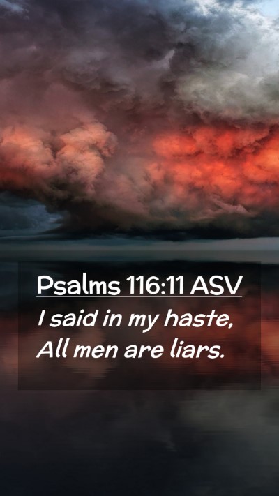 Picture 02 - Psalms 116:11 ASV Mobile Phone Wallpaper - I said in my haste, All men are - Mobile Bible Verse Wallpaper