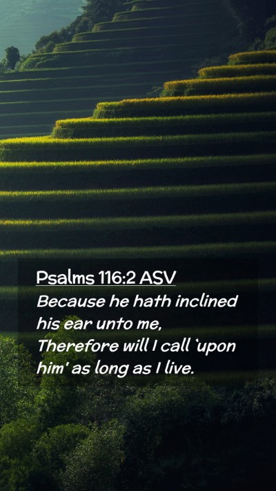 Picture 02 - Psalms 116:2 ASV Mobile Phone Wallpaper - Because he hath inclined his ear unto me, - Mobile Bible Verse Wallpaper