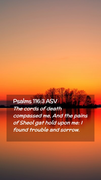 Picture 02 - Psalms 116:3 ASV Mobile Phone Wallpaper - The cords of death compassed me, And the pains of - Mobile Bible Verse Wallpaper