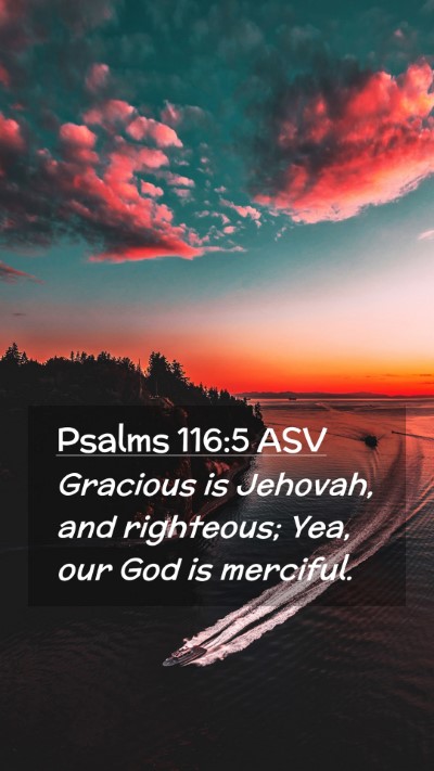 Picture 02 - Psalms 116:5 ASV Mobile Phone Wallpaper - Gracious is Jehovah, and righteous; Yea, our God - Mobile Bible Verse Wallpaper