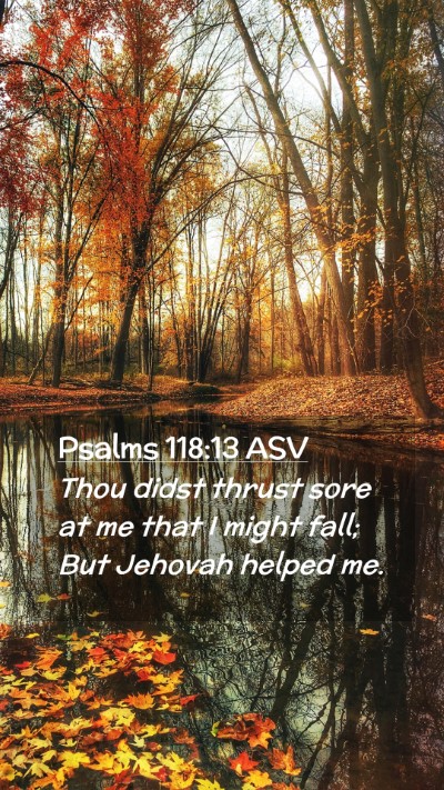 Picture 02 - Psalms 118:13 ASV Mobile Phone Wallpaper - Thou didst thrust sore at me that I might fall; - Mobile Bible Verse Wallpaper