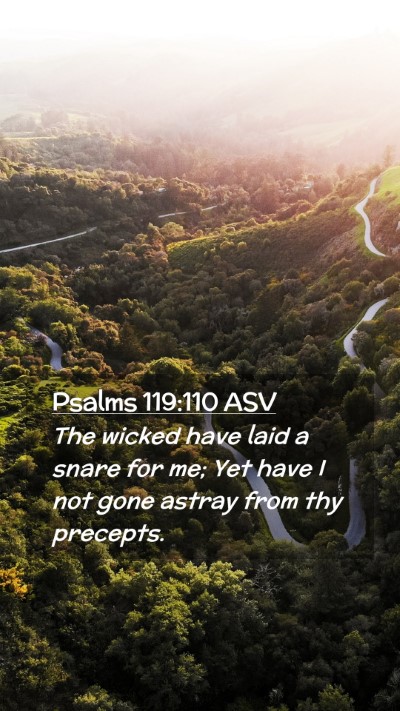 Picture 02 - Psalms 119:110 ASV Mobile Phone Wallpaper - The wicked have laid a snare for me; Yet have I - Mobile Bible Verse Wallpaper