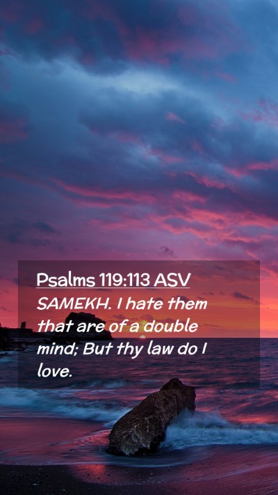 Picture 02 - Psalms 119:113 ASV Mobile Phone Wallpaper - SAMEKH. I hate them that are of a double mind; - Mobile Bible Verse Wallpaper