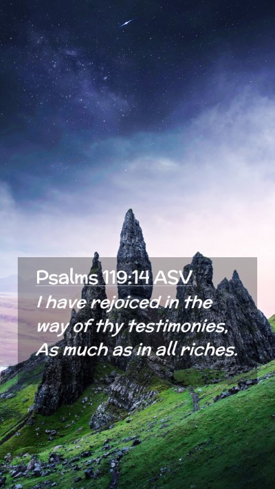Picture 02 - Psalms 119:14 ASV Mobile Phone Wallpaper - I have rejoiced in the way of thy testimonies, As - Mobile Bible Verse Wallpaper