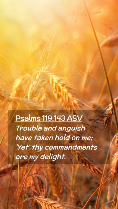 Picture 02 - Psalms 119:143 ASV Mobile Phone Wallpaper - Trouble and anguish have taken hold on me; `Yet' - Mobile Bible Verse Wallpaper